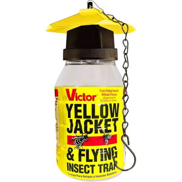 YELLOW JACKET
