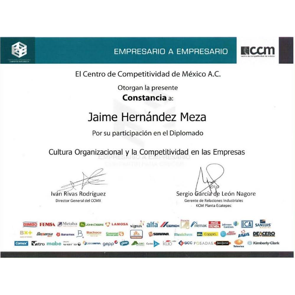 JAIME31