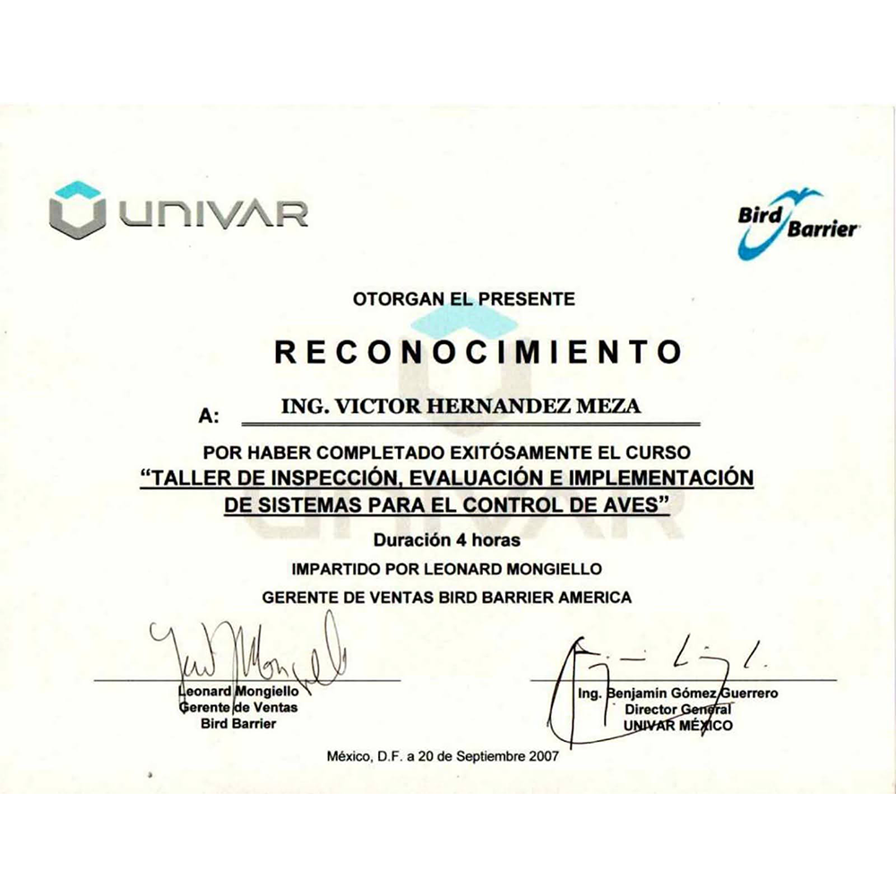 VHM13